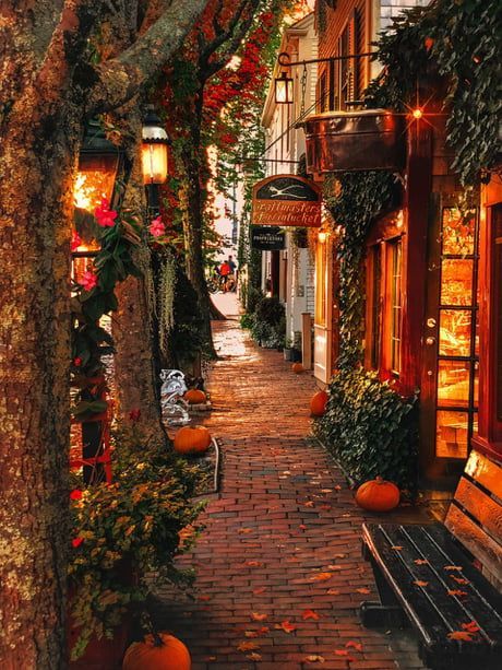 Mood | Sailormade, northeast, mood, mood board, beautiful, images, inspiration, style, aesthetic, east coast, travel, fall, nautical Desenho Tom E Jerry, Nantucket Massachusetts, Autumn Magic, Autumn Scenes, Autumn Scenery, Autumn Beauty, Fall Pictures, Beautiful Places In The World, Autumn Cozy