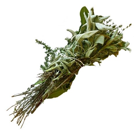 Do you know your bouquet garni from your herbes de Provence? Bay Leaf Plant, Shakespeare Garden, Dried Sage, Kitchen Elements, Bay Laurel, Garden To Table, Burning Sage, How To Dry Sage, Sage Smudging