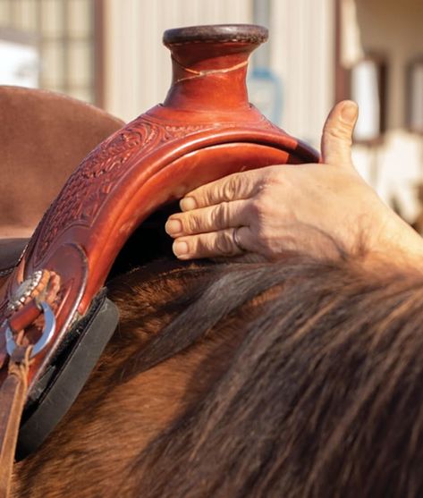 Find The Right Saddle | Horse&Rider Saddle Fitting Western, Horse Farm Ideas, Diy Horse Barn, Horse Lessons, Western Horse Saddles, Bitless Bridle, Horse Care Tips, Horse Facts, Saddle Fitting