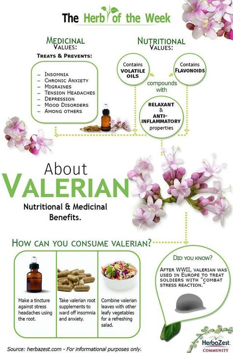 This useful infographic will show you the amazing health benefits and properties that are hidden inside the powerful valerian roots and their volatile oil compounds. Calendula Benefits, Lemon Benefits, Coconut Health Benefits, Stomach Ulcers, Valerian Root, Benefits Of Coconut Oil, Tension Headache, Big Pharma, Valerian