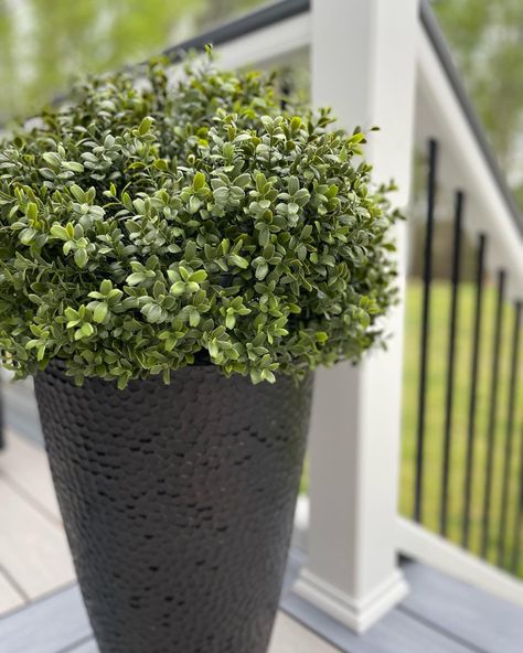 Potted Boxwoods Front Door, Faux Greenery Outdoor, Boxwood Planters, Faux Outdoor Plants, Front Doors Uk, Front Door Planters, Front Porch Plants, Faux Boxwood, Boxwood Plant