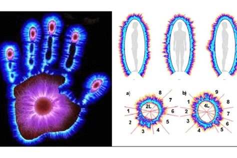 Aura Photography by Kirlian Camera helps to forecast the present and future health problems in the human body Reading Aura, Aura Camera, Know Your Self, Aura Chakras, Kirlian Photography, Aura Photography, Energy Aura, Wellness Motivation, Aura Energy