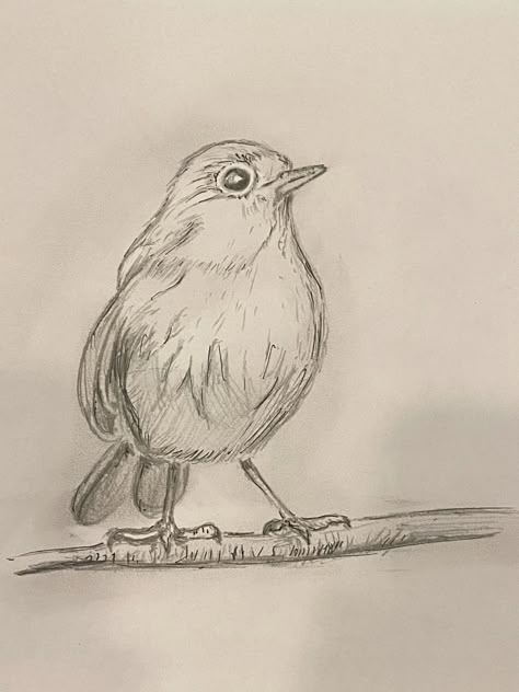 Art Inspiration: Robin On A Branch – Chocoviv’s Lifestyle Blog 2.0 How To Draw A Robin, Robin Drawing Simple, Robin Sketch, Little Bird Drawing, Robin Bird Drawing, Drawing Birds, Robin Drawing, Bird Watercolor Art, Abstract Pencil Drawings