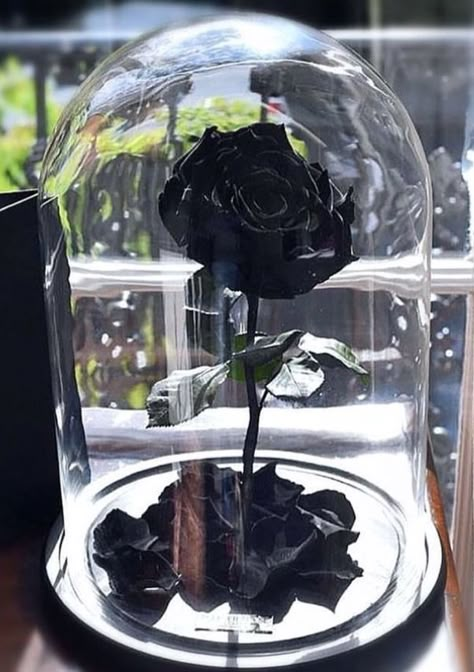 Rose Dome, Rose In A Glass, Fairytale Princess, Horror Decor, Enchanted Rose, Glass Rose, Dark Wedding, Forever Rose, Goth Home Decor