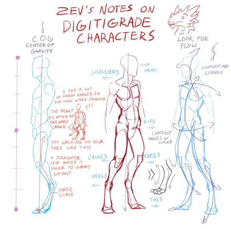 Digitigrade character Anatomy Drawing, Poses References, Figure Drawing Reference, Guided Drawing, Anatomy Reference, The Human Body, 판타지 아트, Anatomy Art, Art Poses