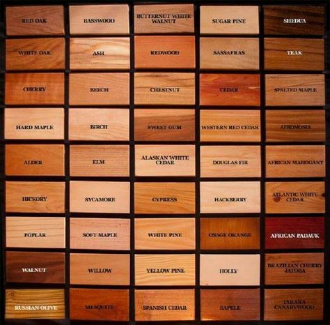 Wood Identification Chart Ormanlık Alan, Woodwork Projects, Wood Sample, Got Wood, Different Types Of Wood, Diy Holz, Woodworking Techniques, Wood Color, Woodworking Tips