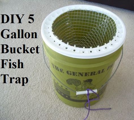 This is a neat update on the native American Primitive Funnel Fish Trap﻿ made with a 5 gallon bucket rather than woven twigs Catfish Trap Diy, Minnow Trap Diy, Diy Minnow Trap, Diy Fish Trap, Fish Traps Diy, Squirrel Trap, Crawfish Traps, Minnow Trap, Fishing Traps