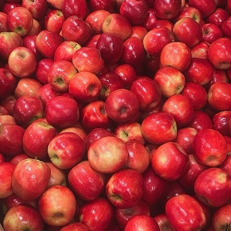 Red Apple Aesthetic, Apple Aesthetic Fruit, Apples Aesthetic, Nostalgic Fall, Apple Aesthetic, Apple Core, Apple Bite, Apple Season, Yummy Comfort Food