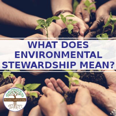 What Does Environmental Stewardship Mean? https://anchor.fm/dynamic-earth-learning/episodes/What-Does-Environmental-Stewardship-Mean-e1c148h What Is Deforestation, What Is Resilience, Earth Science Lessons, Sustainability Education, Being Responsible, Save Mother Earth, Sustainable Environment, Science Lesson Plans, Science Topics