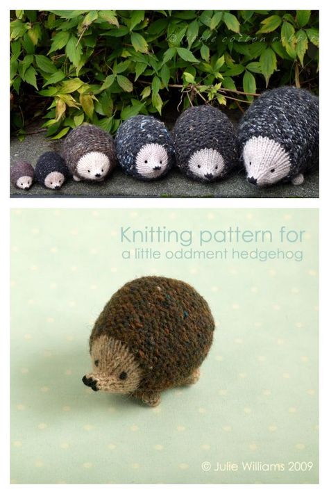 Little Hedgehog Toy Knitting Pattern Hedgehog Knitting Pattern, Hedgehog Knitting Pattern Free, Knit Hedgehog, Amigurumi Hedgehog, Cute And Cuddly, Free Knitting Patterns, Crochet Animal, Animal Patterns, Crochet Animal Patterns