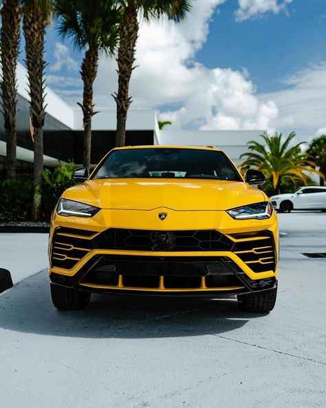 9,702 Likes, 50 Comments - Lamborghini Urus (@urus) on Instagram: “💫🌟☀️🌙⚡️ . Follow @urus for the hottest Lamborghini Urus content 🔥 . Via @lambopalmbeach . #urus…” Lamborghini Urus Yellow, Lambo Truck, Lamborghini Urus, Luxury Car Interior, Car Tattoos, High Performance Cars, Cool Car Pictures, Lamborghini Cars, Luxury Wallpaper