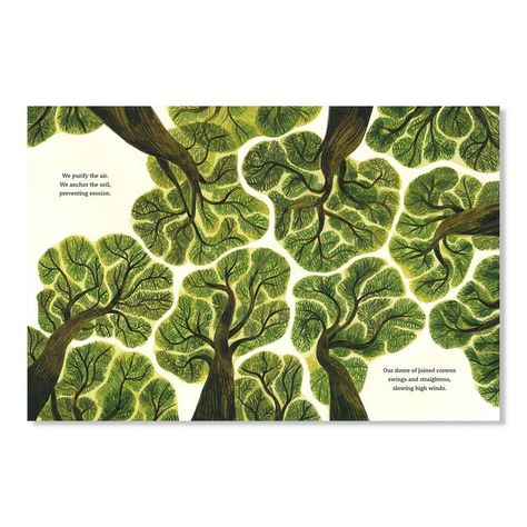 A lyrical, gorgeously illustrated look at the majesty of trees—and what humans can learn from them. Shop for more unique children's books at NINI and LOLI Stairwell Mural, Plakat Design Inspiration, Summer Layout, Collage Creator, Whimsical Tree, Earth Month, Superflat, The Giving Tree, Tree Mural