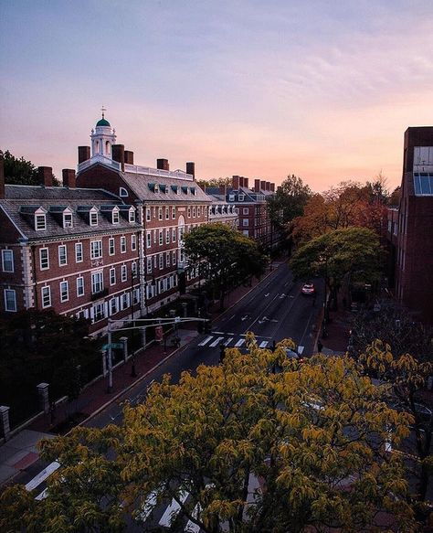 Harvard Square Harvard University Campus, Harvard Campus, College Vision Board, Harvard Square, Boston Travel, Good Introduction, Freedom Trail, Graduate Degree, Higher Learning