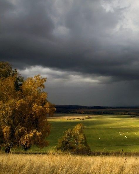 Real Sunset, Cloudy Weather, What A Beautiful World, Dark Clouds, Pretty Landscapes, Stormy Weather, Weather Day, Landscape Scenery, Pastel Art