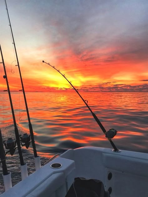 Fishing Salt Water, Xp Farm Minecraft, Fishing On Boat, Simpul Dasi, Farm Minecraft, Food Wellness, Country Sunset, Florida Fishing, Beach North Carolina