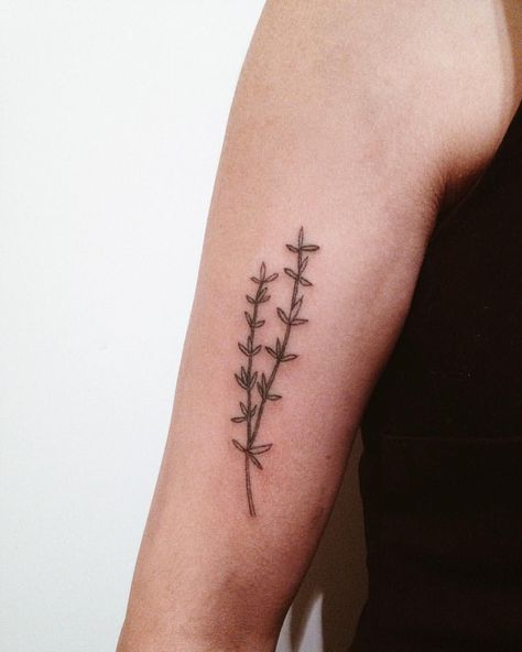 Rosemary Tattoo, Herb Tattoo, Stick Tattoo, Branch Tattoo, Wildflower Tattoo, Plant Tattoo, Gorgeous Tattoos, Subtle Tattoos, Family Tattoos