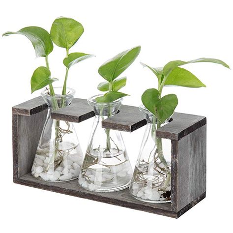 Amazon.com: MyGift Rustic 3-Glass Beaker Vases with Grey Wood Stand: Home & Kitchen Wood Flower Stand, Creative Vase, Hanging Glass Vase, Vase Stand, Bulb Vase, Wood Rack, Hydroponic Plants, Relaxing Space, Storage Accessories