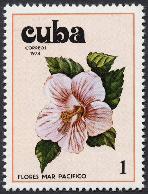 Pink Hibiscus Flower, Postage Stamp Design, Panda Lindo, Pink Hibiscus, Detailed Illustration, Postage Stamp Art, Post Stamp, Hibiscus Flower, Vintage Stamps