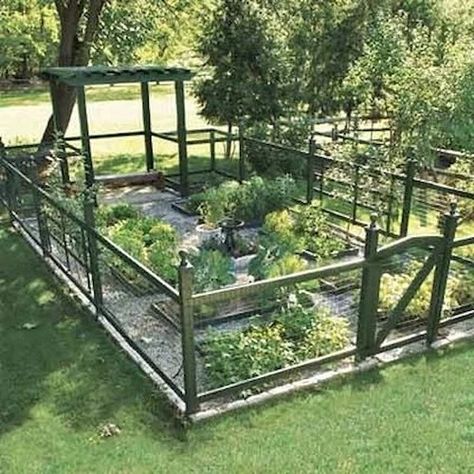 32 Vegetable Garden Fence Ideas | Balcony Garden Web Fenced Vegetable Garden, Diy Garden Fence, Garden Layout Vegetable, This Old House, Wire Fence, Have Inspiration, The Secret Garden, Vegetable Garden Design, Garden Bed