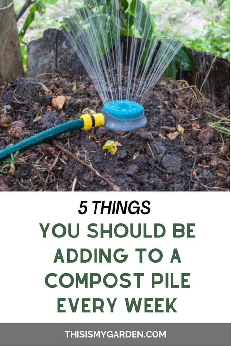 A hose with a small sprinkler attached spraying water into a compost pile. From thisismygarden.com. Victory Garden Plans, Compost Bin Diy, Growing Vegetables In Pots, Compost Tumbler, Compost Pile, Compost Soil, Vegetable Garden Raised Beds, Compost Tea, Composting At Home