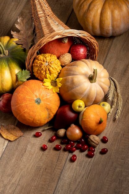 Cornucopia Craft, Harvest Dinner, Thanksgiving Cornucopia, Fall Floral, Photo Reference, Free Photo, Spooky Season, Free Photos, Art Work