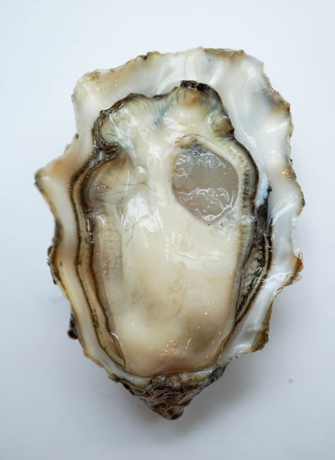 Totten Pacific - Taylor Shellfish Oyster Aesthetic, Oysters With Pearls, Healthy Bowls, Exotic Fish, Mermaid Art, Oyster Shell, Beautiful Food, Bars Recipes, Traditional Food