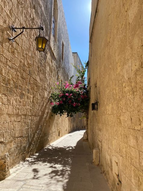 flowers in Mdina, Malta Mdina Malta Aesthetic, Malta Aesthetic, Summer Recap, Malta Food, Mdina Malta, Travel Malta, Malta Beaches, Malta Travel, Aesthetic City