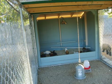 Desert Backyard, Diy Dog Kennel, Chicken Coop Run, Chicken Coop Designs, Hobby Farm, Chicken Runs, Backyard Chickens, Dog Runs, Hobby Farms