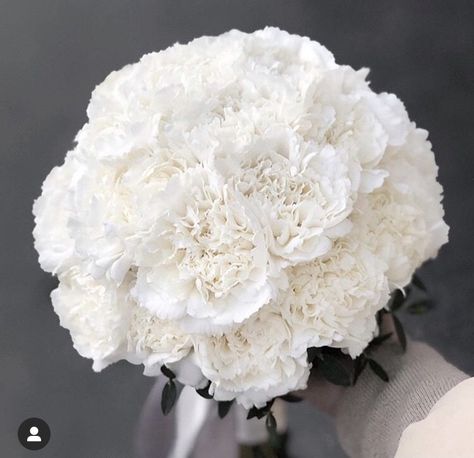 White Carnation Bouquet Wedding, White Carnation Bouquet, Rocker Wedding, Carnation Wedding, Orchid Bouquet Wedding, Small Wedding Bouquets, Neutral Wedding Flowers, Bride Hanger, Orchid Bouquet