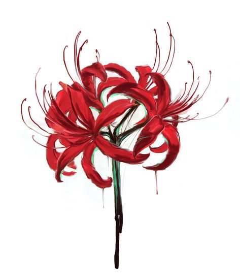 Simple Tattoo Ideas For Men, Simple Tattoo Ideas, Lilies Drawing, Tamamo No Mae, Red Spider Lily, Spider Lily, Red Spider, Seni Vintage, Red Lily