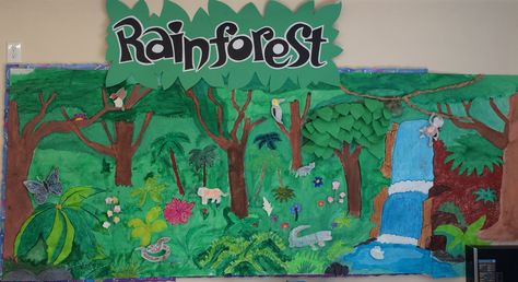 Rainforest bulletin board... 4th graders project Rainforest Bulletin Board, Bulletin Board Ideas, Work Ideas, Board Ideas, After School, Poster Board, Bulletin Boards, Bulletin Board, Education