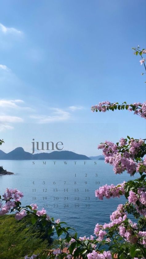 Summer iphone wallpaper flowers sea ocean calendar 2023 june June Iphone Wallpaper Aesthetic, June Calendar 2023 Aesthetic, Calendar 2023 June, June Wallpaper Iphone, June Calendar 2023, June Wallpaper Aesthetic, Iphone Wallpaper Flowers, June Wallpaper, Summer Iphone Wallpaper