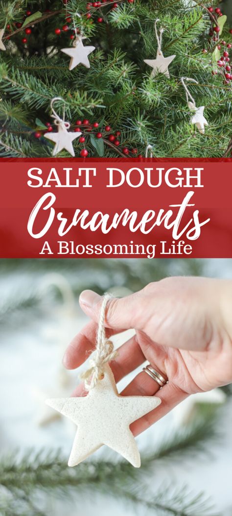 Dough Ornaments Recipe, Salt Dough Ornaments Recipe, Homemade Salt Dough, Ornaments Recipe, Homemade Christmas Ornaments Diy, Christmas Diy Kids, Diy Christmas Decor, Salt Dough Ornaments, Dough Ornaments