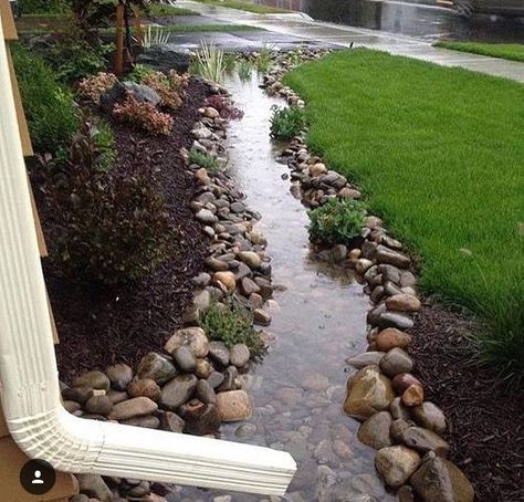 Good for a rainy climate. Rock Garden, Landscaping Ideas, A House, Front Yard, Landscaping, Yard, Green