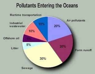 United Nations Environment Programme, Marine Pollution, Ocean Pollution, Water Pollution, What Are We, Environmental Concerns, Environmental Education, Oil Spill, Marine Environment