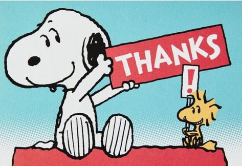 Thank You Snoopy, Good Manners Quotes, Snoopy New Year, Woodstock Snoopy, Woodstock Peanuts, Snoopy Birthday, Peanuts Charlie Brown, Snoopy Cartoon, Thank You Images