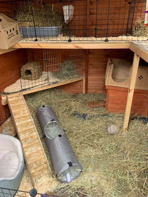 Bunny Shed Ideas, Guinea Pig Shed Ideas, Rabbit Shed Ideas Outdoor, Diy Rabbit House, Rabbit Shed Ideas, Rabbit Hutch Ideas, Outdoor Rabbit Run, Bunny Sheds, Rabbit Playground