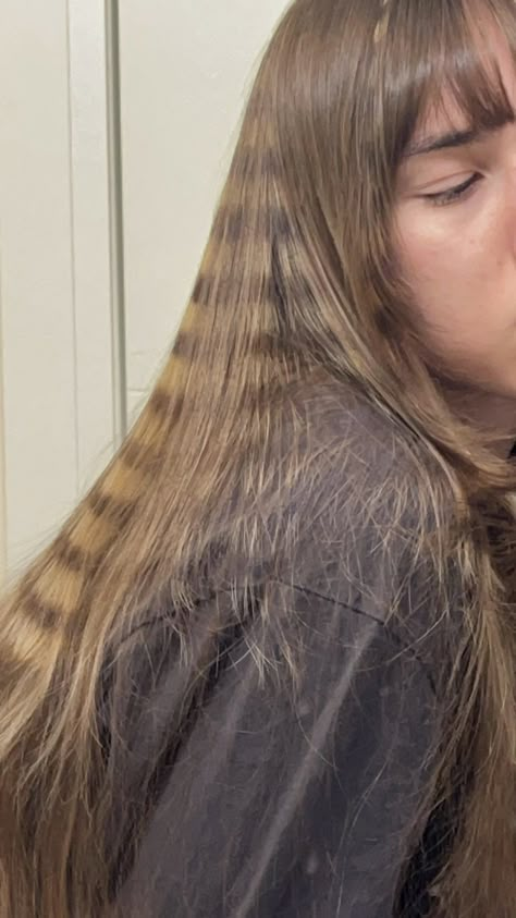 blonde raccoon tail hair - Google Search Peekaboo Raccoon Tail Hair, Blonde Raccoon Tail Hair, Fox Tail Hair Color, Raccoon Tails Hair, Raccoon Stripes Hair, Blonde Raccoon, Racoon Tail Hair, Skunk Tail Hair, Raccoon Tail Hair