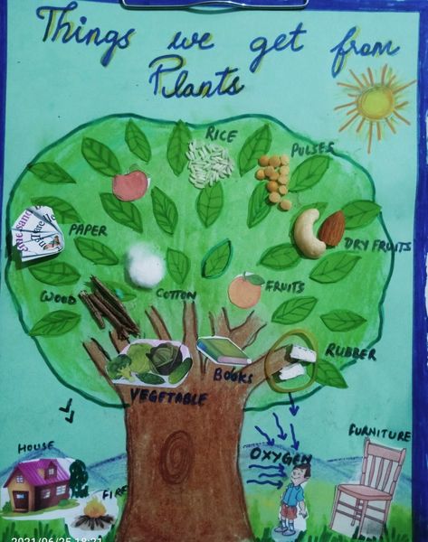 Earth Day Drawing, School Science Projects, Preschool Fine Motor Activities, Preschool Stem, Preschool Science Activities, Tree Study, Kindergarden Activities, Plant Crafts, Science Crafts