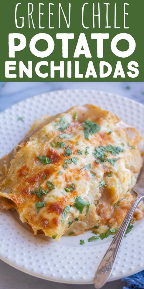 Do you love fresh green chile? If so, you're going to love these Cheesy Green Chile and Potato Enchiladas! These vegetarian enchiladas are the perfect meal to warm you up this winter. They're made with both chopped green chile as well as green chile enchilada sauce. The potatoes are seasoned perfectly and add so much flavor to this easy weeknight dinner! #vegetarianenchiladas #greenchile #cheeseenchiladas #dinnerrecipe #familydinner Vegetarian Bites, Potato Enchiladas, Plant Plate, Green Chile Enchilada Sauce, Green Chilis, Vegetarian Enchiladas, Vegetarian Mexican, Meatless Main Dishes, Meatless Dinner