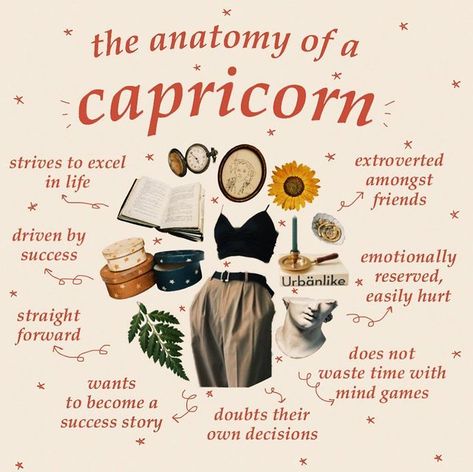 Capricorn Vibes, December Capricorn, Capricorn Energy, About Capricorn, Capricorn Woman, Capricorn Aesthetic, Capricorn Astrology, Capricorn Art, Capricorn Sun