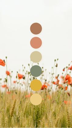 Fun Earthy Color Palette, Wildflower Color Scheme, Color Palettes Design, May Color Palette, Botanical Color Palette, Whimsical Color Palette, Colorful Minimalism, Colour Palette Inspiration, Website Color Palette