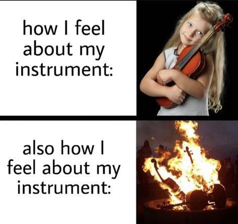 Funny Band Jokes, Orchestra Humor, Musician Memes, Musician Jokes, Marching Band Memes, Playing Violin, Musician Humor, Marching Band Humor, Band Jokes