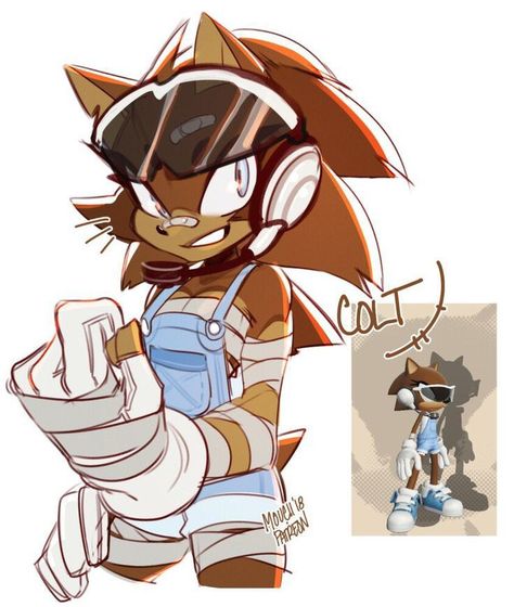 Sonic Ocs, How To Draw Sonic, Avatar Oc, Sonic Oc, Sonic Characters, Sonic Funny, Sonic Fan Characters, Sonic Adventure, Hedgehog Art