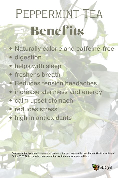 Kettle Recipes, Benefits Of Peppermint Tea, Wild Tea, Teas For Headaches, Peppermint Tea Benefits, Help With Sleep, Health Exercise, Reduce Tension, Help Digestion