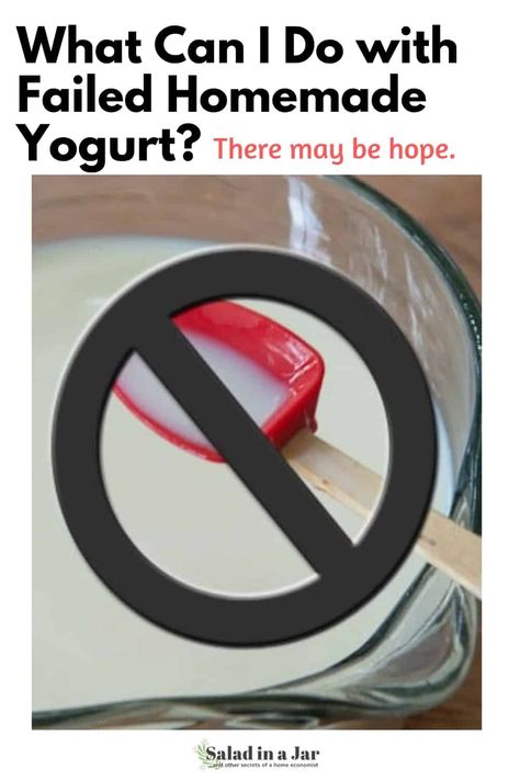 If your homemade yogurt still looks like milk, read about what to do next. #homemadeyogurt #yogurtfail Drinkable Yogurt, Cinnamon Biscuits, Homemade Greek Yogurt, Yogurt Milk, Yeast Bread Recipes, French Fried Onions, Flaky Pie Crust, Salad In A Jar, Bread Mix