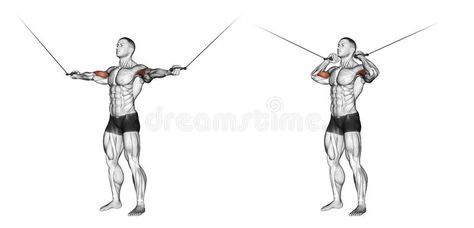 Exercising. Curls with handles upper blocks. Curls with handles upper blocks. Exercising for bodybuilding Target muscles are marked in red. Initial and final stock illustration Cable Biceps, Upper Body Workout Gym, Biceps Curl, Bicep Workout, Biodata Format, Muscular Development, Body Coach, Leg Training, Better Body