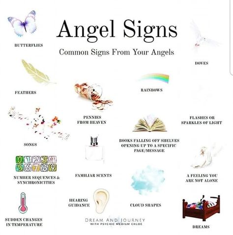 Spirit Signs, Spirit Messages, Spiritual Awakening Signs, Angel Signs, Angel Guide, Witch Spirituality, Magic Spell Book, Wealth Dna Code, Spiritual Journals