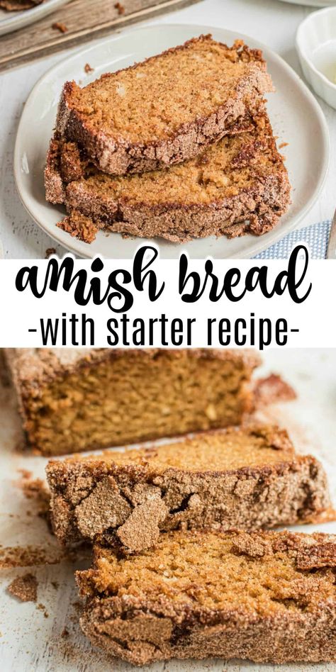 A delicious Amish Friendship Bread recipe covered in a cinnamon sugar mix. The starter recipe is included so you can share with friends! Cinnamon Amish Bread, Amish Cinnamon Bread, Amish Bread Recipes, Amish Friendship Bread Starter Recipes, Friendship Bread Recipe, Friendship Bread Starter, Amish Bread, Cinnamon Bread Recipe, Amish Friendship Bread