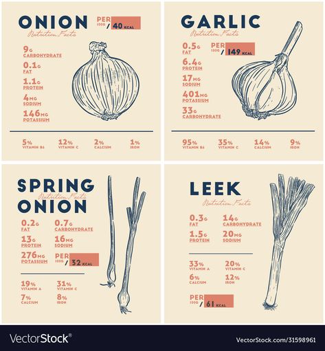 Garlic Nutrition Facts, Leek Vegetable, Onion Benefits, Spring Vector, Onion Leeks, Garlic Health Benefits, Iron Vitamin, Garlic Benefits, Colorful Vegetables